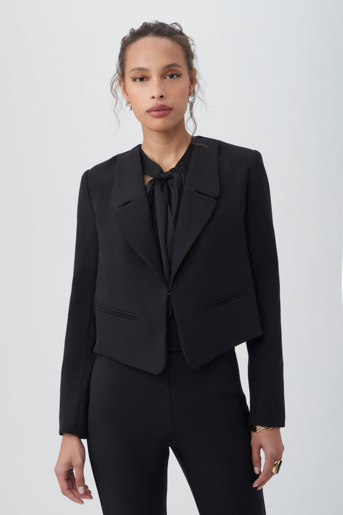 REN CROPPED LONG SLEEVE BLAZER JACKET